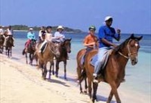 Trails Beach Horse Ride